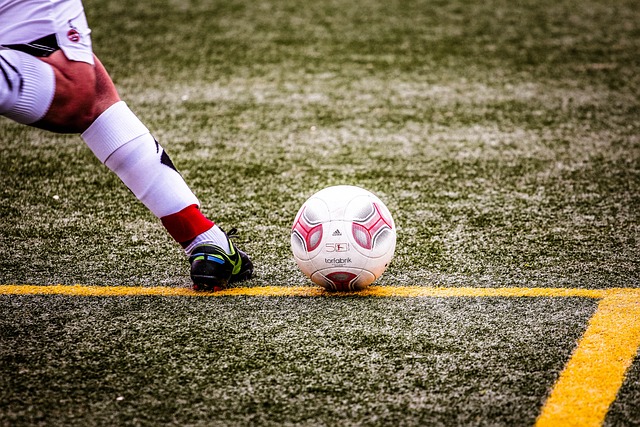 这一预测阵 这一预测阵