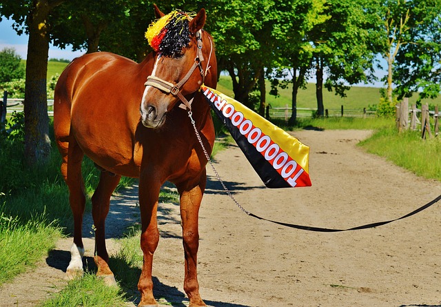 过大手笔引 过大手笔引