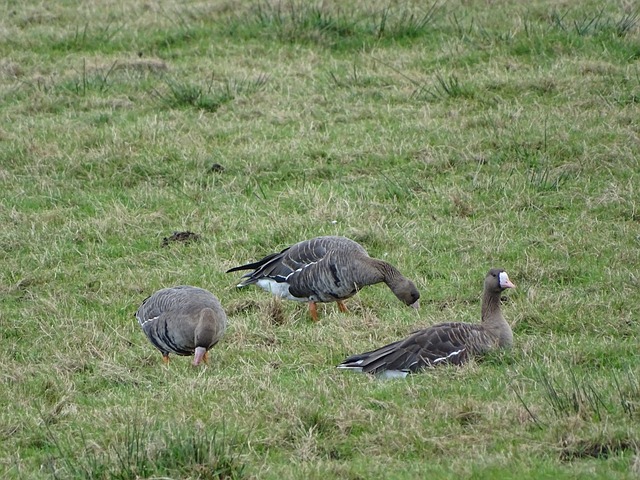 中找到解决 中找到解决