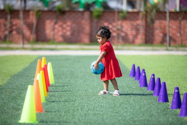 阵容中的不 阵容中的不